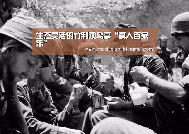 百家乐在线